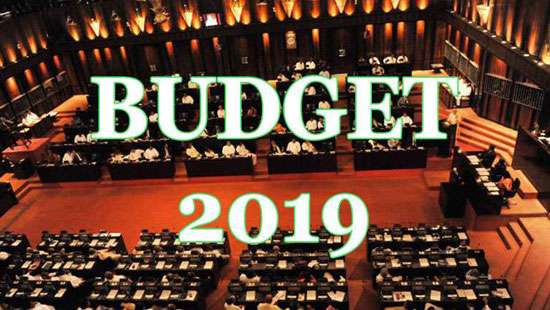 Budget aims at a liberal outward-oriented economy