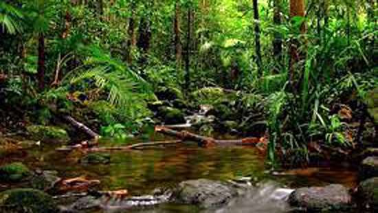 Hali Ela Water Source Reservation declared as Environmental Protection Area