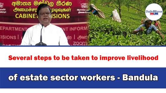 Several steps to be taken to improve livelihood of estate sector workers - Bandula