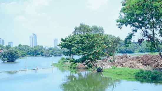 Clearance at Heen Ela sanctuary: An urban  marshland in peril