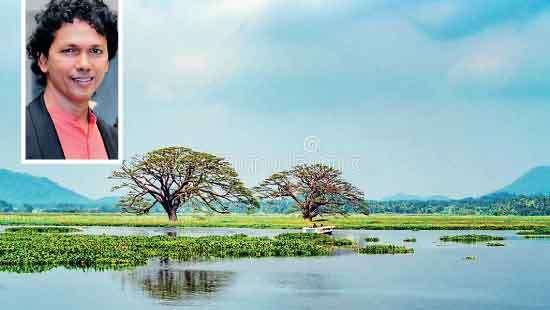 Spotlight on Tissa