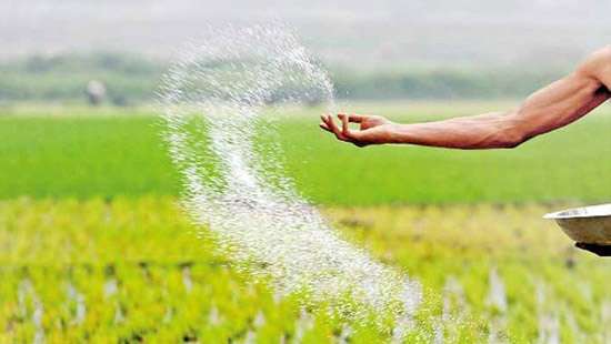 Price of MOP fertiliser to be reduced by Rs.1,000 from tomorrow