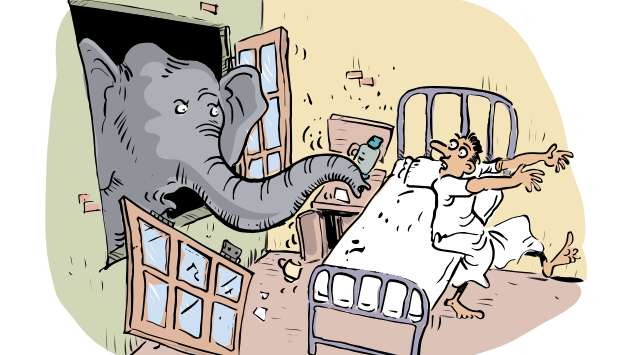 Wild elephant invades Govt. hospital, damages patient bed