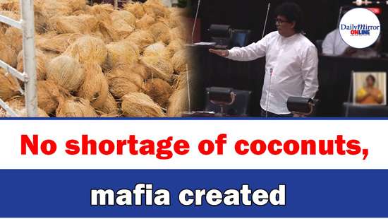 No shortage of coconuts, mafia created: Minister