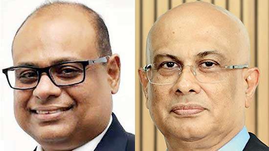 AMF delivers strong 9-month performance