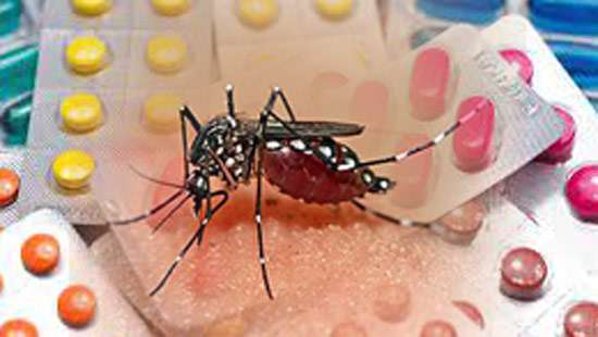 People advised not to take anti-inflammatory painkillers for dengue