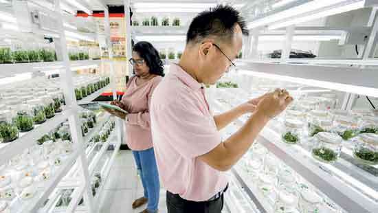 SL’s Fruit Farmers see 300% Yield increase  through China Partnership; FAO
