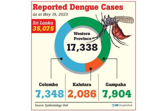 Dengue reaches epidemic level  in Colombo, Gampaha