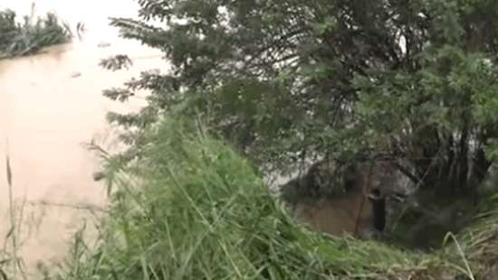 Man goes missing after car topples into Mahaweli river; two rescued