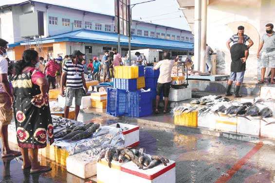 Peliyagoda Fish Market reopens