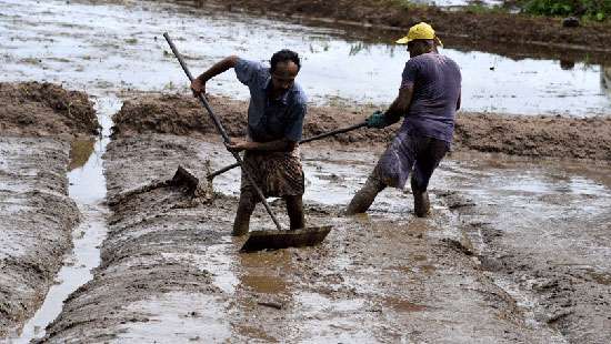 Preparing for the Yala season