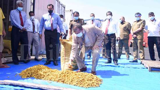 Turmeric worth Rs 19 mn seized