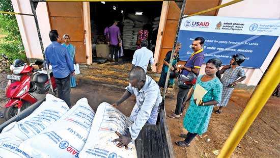 PADDY FARMERS TO RECEIVE FREE FERTILIZER THROUGH USAID AND FAO