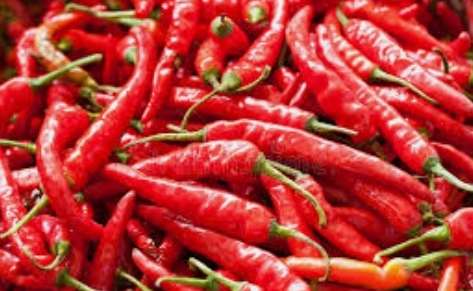 Chili farmers ready to supply 20% of country’s demand