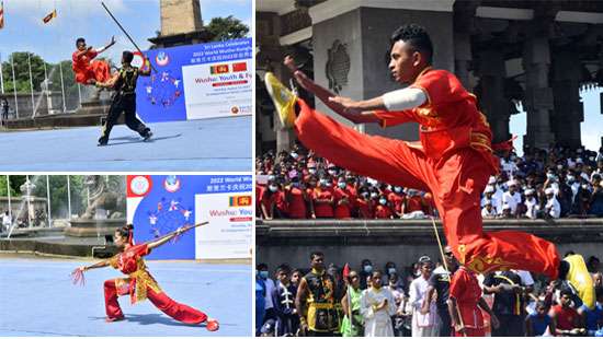 World Wushu Kung Fu Day celebrated