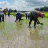 Irrigation Department urges water conservation amid El Niño concerns