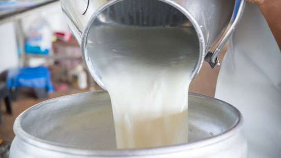 Fresh milk to Colombo