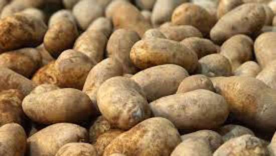 Will reduce potato prices if import duty slashed: EFCITA