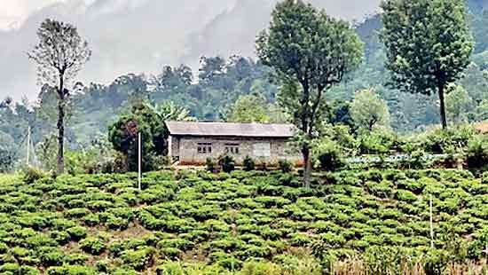 Up Country Colonial Moments