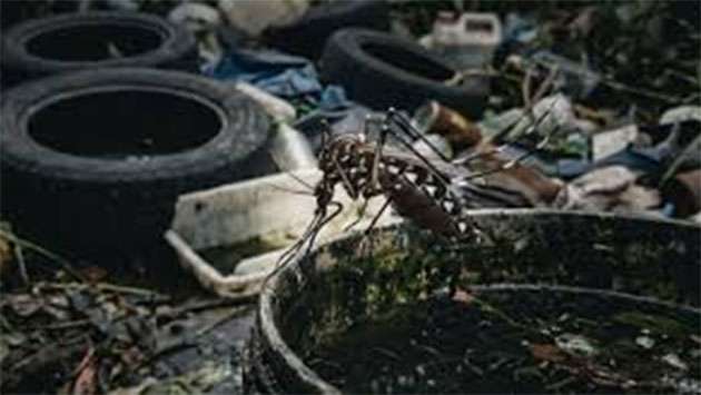Public Health Inspectors withdraw from dengue control duties island-wide - Breaking News