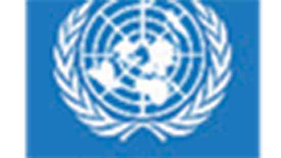 UNDP to mobilise fast, transparent assistance Aiming at long-term resilience building