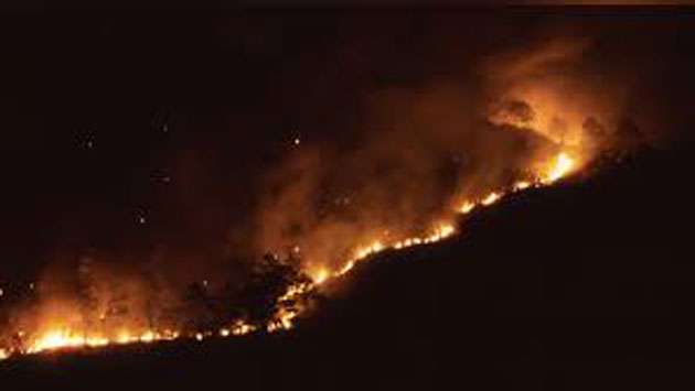 Forest fire reported in Ratnapura