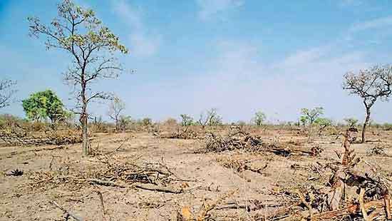 Challenges in expediting wildlife conservation in Sri Lanka