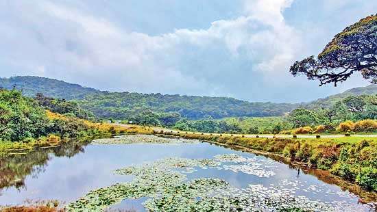 NATIONS TRUST WNPS MONTHLY LECTURE WILDLIFE CONSERVATION IN SRI LANKA