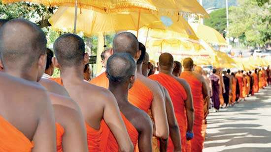 Where is the  Sangha  heading?