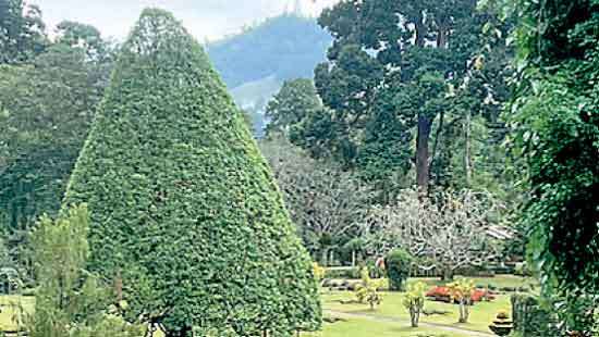 The Royal Botanical Garden Kandy