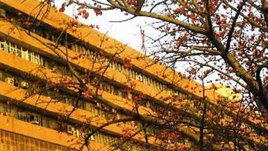 Indian assets of Lankan man seized in money laundering case