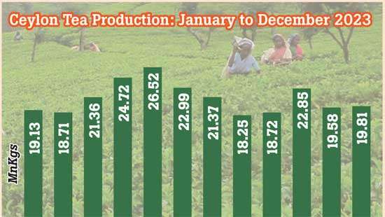 December 2023 tea production up 0.5% YoY