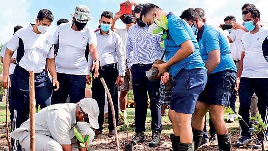 Tokyo Cement partners Sri Lanka Navy’s Mangrove Conservation Project in Jaffna peninsula