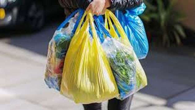 Fundamental rights petition seeks levy on single-use polythene bags