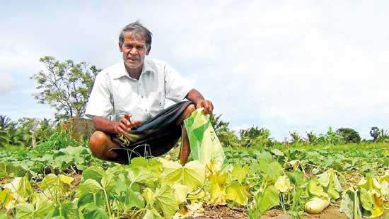 Crushed  by the weather Sri Lanka faces multiple challenges from incessant rains and rising monsoon waves with little to mitigate or solve the challenges