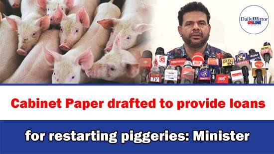 Cabinet Paper drafted to provide loans for restarting piggeries: Minister