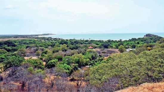 Looming conservation crises threaten Arugambay
