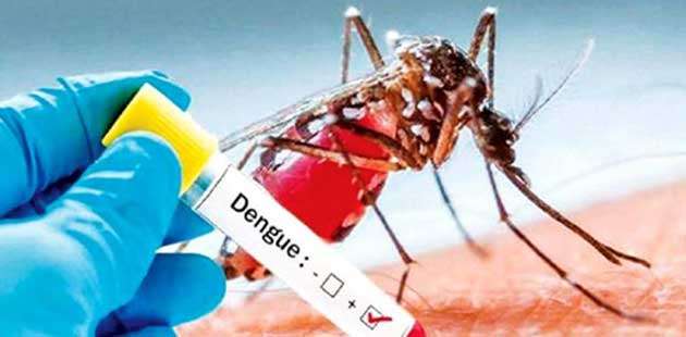 Sri Lanka logs over 850 Dengue cases in eight days