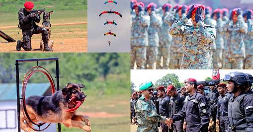 Commandos pass out in thrilling ceremony