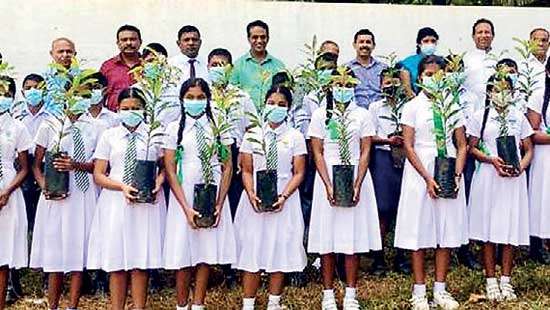 Sarvodaya Development Finance marks World Environment Day