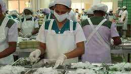 China allows Sri Lankan fish imports