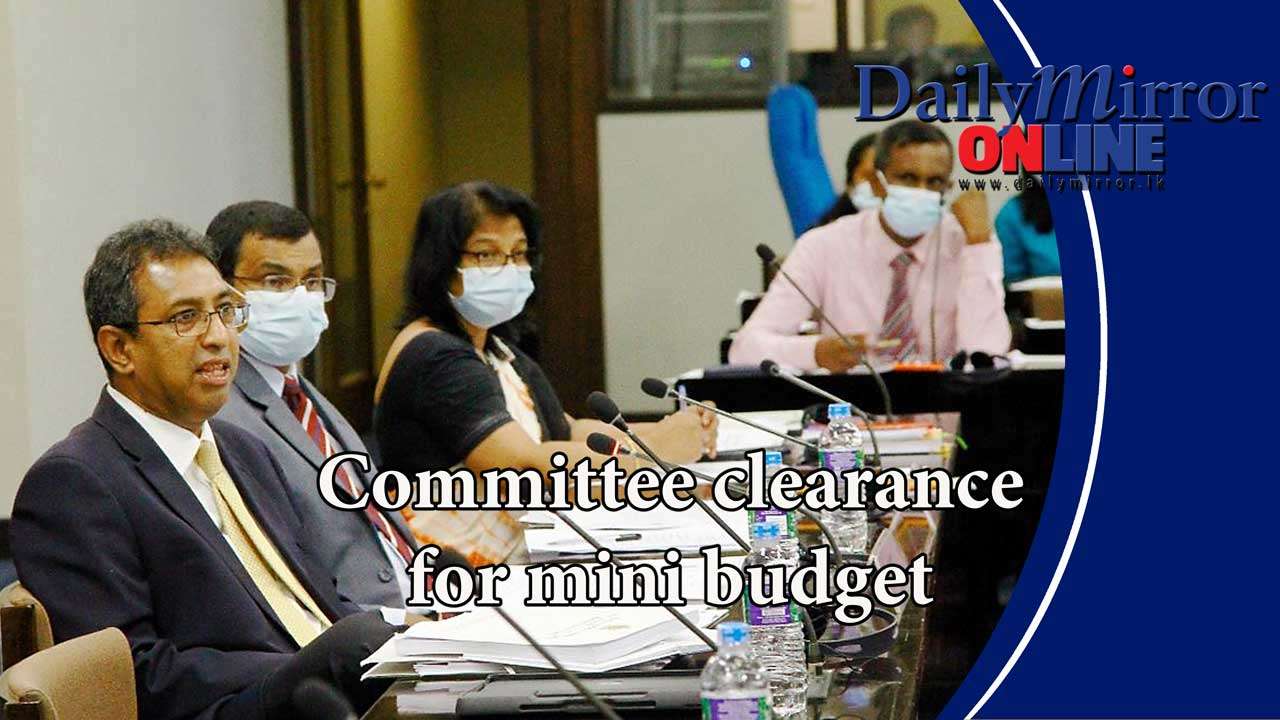 Committee clearance for mini budget