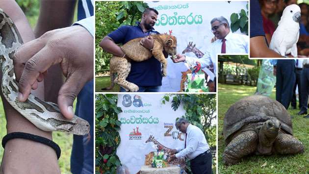 Dehiwala Zoo celebrates 88th anniversary