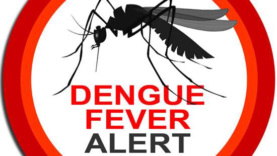 Medical expert warns dengue could reach its peak in Colombo