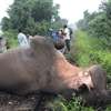 Another jumbo knocked down to death by moving goods train