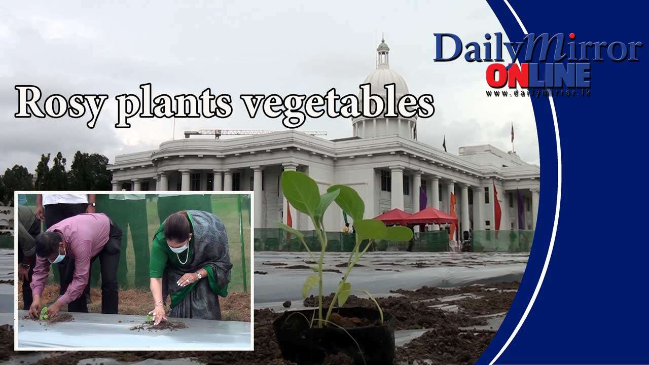 Rosy plants vegetables