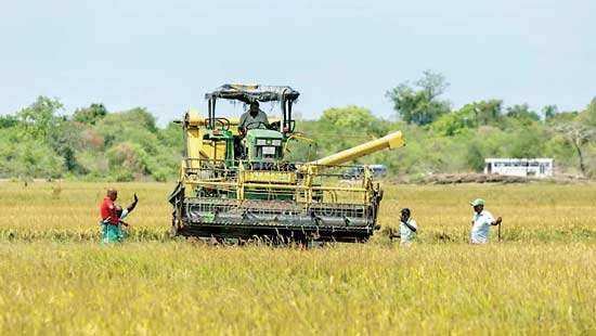 Long history of failures  Sri Lanka’s Lost Decades and Flawed World Bank Projects