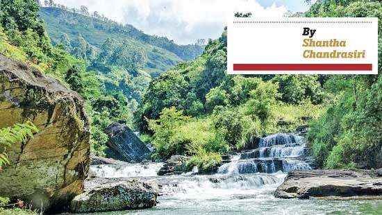 Spotlight on Pundaluoya Mixed sentiments by villagers for proposed hydropower project