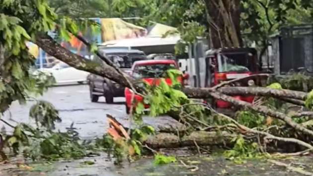 Fallen trees block several roads in Colombo