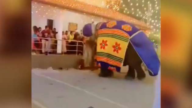 Elephant goes on rampage at Seenigama Perahera